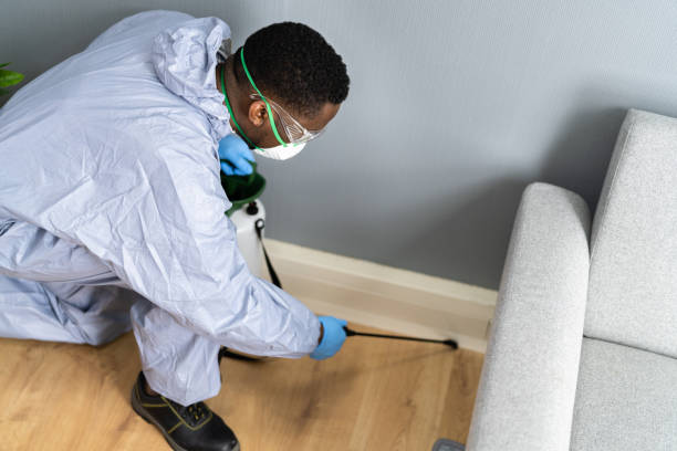 Best Bed Bug Extermination  in Lower Burrell, PA